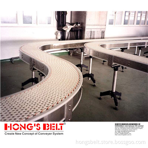 The Curved Packaging Industry Modular Conveyor Belt (HS-300B)